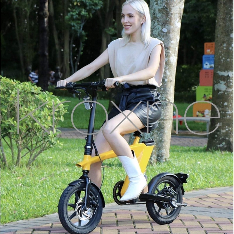 zBike - 250w electric bike - 30 to 50km of autonomy  - 1