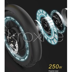 zBike - 250w electric bike - 30 to 50km of autonomy  - 12